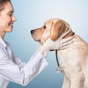 Quatro objetivos da nutrição para a saúde de cães e gatos | Linha Nutricional KÖNIG